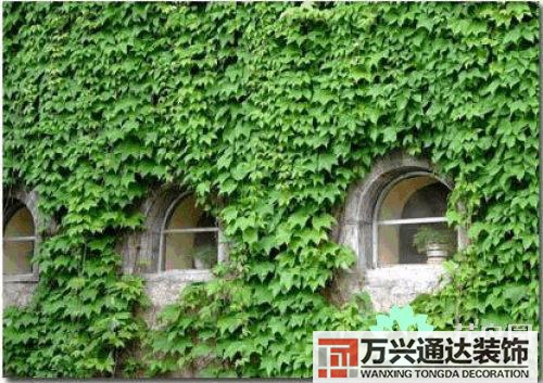 養(yǎng)花風(fēng)水禁忌室內(nèi)養(yǎng)花與擺放風(fēng)水禁忌