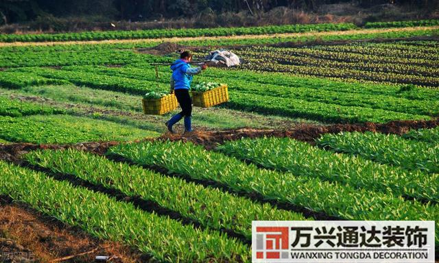 廣西賀州風(fēng)水廣西賀州風(fēng)水留題大地